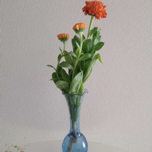 観葉植物,切り花,一輪挿し,花瓶,花束の画像