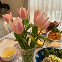 シバザクラ,チューリップ,たぬき,パキポディウム・ラメレイ,パンビオさんの画像