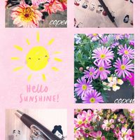 ダリア,雲間草,小さな幸せ♡,ムーミンの日,ピンクワールドへ ようこその画像