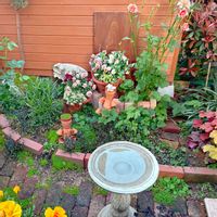 アジュガ,ガウラ,ユーカリ,秋明菊,ラックスの画像