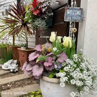 チューリップ,チューリップ,プリムラ,プリムラ,ビオラの画像