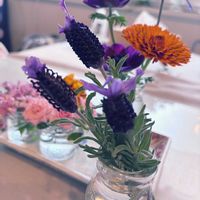 フレンチラベンダーの画像