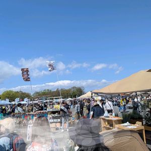 袋の中,多肉植物,多肉狩り,多肉とみどりのマルシェinなばなの里,お出かけ先の画像