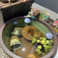 ホテイアオイ,睡蓮,ホテイ草,観察,和風の画像