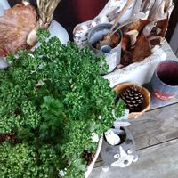 パセリ,HTCの画像