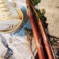 タケノコ,ウドの画像