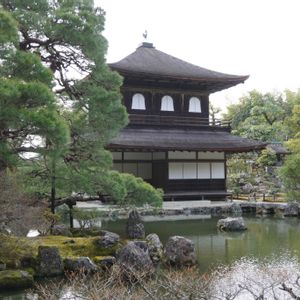 鳳凰,お寺,庭園,緑のある暮らし,世界遺産の画像