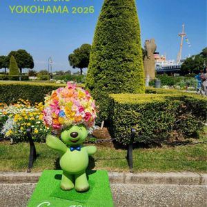 ネモフィラ,マリーゴールド,横浜の中華街,ガーデンネックレス　横浜,黄色い花の画像