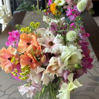 オダマキ,ゼラニウム,セリンセマヨール,セルリア,セルリアの画像