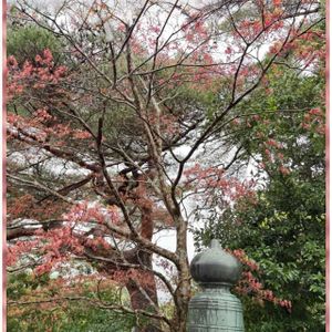 お出かけ先の画像