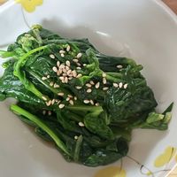 菜の花,ほうれん草,大根の花,育てて食べるの画像