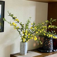 黄梅,花のある暮らし,平和に感謝,玄関内側の画像