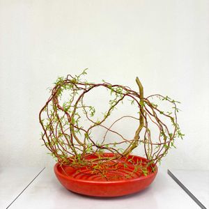 金魚草,ガクアジサイ,雲竜柳(ドラゴン柳),いけばな,草月流の画像