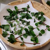 ミント,玉ねぎの画像