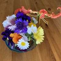 グロリオサの画像