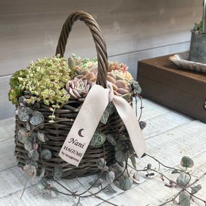 多肉植物,多肉植物寄せ植え,ワークショップ ,多肉植物のある暮らし,多肉大好き(*´︶`*)❤︎の画像