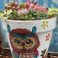 碧魚連,十二の巻,レーマニー,琴瓜菊（きんそうぎく),KOH.七福神の画像