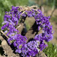 ハンドメイド,ガーデニング,花のある暮らし,野草・雑草だって可愛い,家庭菜園の画像