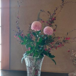 ピンポンマム,生け花の画像