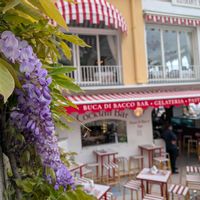 フジ,レモン,枇杷,イタリア,週末の画像