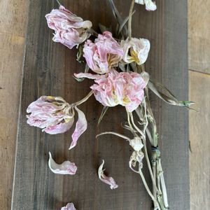 ドライフラワーのある暮らしの画像