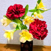 切り花,プレゼント,花のある暮らし,緑のある暮らし,週末ガーデナーの画像