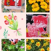 キンレンカ,オスぺオスペルマム,花友さんに感謝♡,こぺんちゃん通信,こぺん気まぐれ便の画像