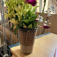 ジューンベリー,霞草,デンファーレ,葉牡丹ちゃん,ヌーヴェルヴァーグさんモリモリ！の画像