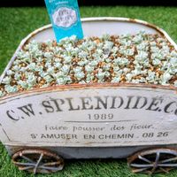 白雪ミセバヤ,チーム愛知,2019同期の画像