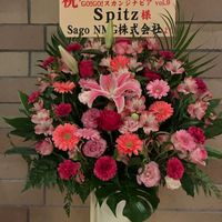 花のある暮らし,お祝い花,ねこと緑のある暮らしの画像