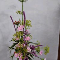 カーネーション,ドラセナ,ヒペリカム,ラナンキュラス,サツキの画像