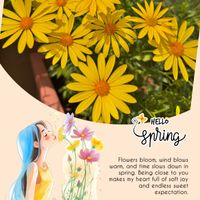 モミジアオイ,オリヅルラン,ミニバラ,キララ,ユーフォルビア ルビーグローの画像