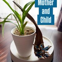 タビビトノキ,旅人の木,観葉植物,ドライフラワー,インドアグリーンの画像