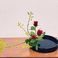 ナナカマド,バラ,薔薇,ななかまど,雷電木（ななかまど）の画像