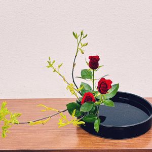 ナナカマド,バラ,薔薇,ななかまど,雷電木（ななかまど）の画像
