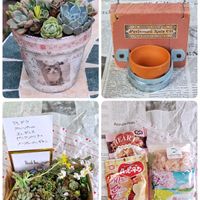 アイリス,リメ鉢,たにおたくらぶ,バラと夢CLUB,GSアダルトチームの画像