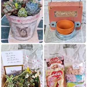 アイリス,リメ鉢,たにおたくらぶ,バラと夢CLUB,GSアダルトチームの画像