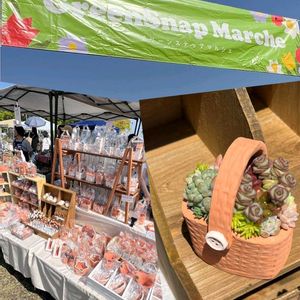 多肉寄せ植え,手作り鉢,イベント出店,テラコッタ鉢,#多肉植物の画像