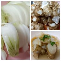キクイモ,タマネギ,タマネギとキクイモの料理,収穫,害虫対策の画像