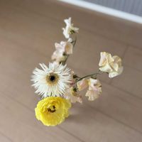 ガーベラ,スイートピー,ムギワラギク,ヘリクリサム,花束の画像