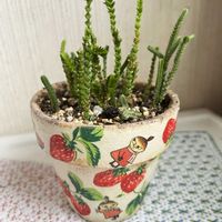 ムスコーサ,DAISOパズブロック,毎月15日はいちごの日,毎月15日はインコの日,おこた♪のブロックコレクションの画像