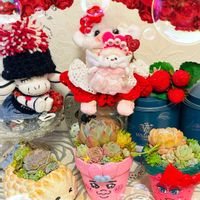 ホヤ・カルノーサ,ホヤ・カルノーサ・コンパクタ,私のアルバムより,多肉植物,多肉寄せ植えの画像