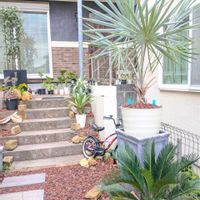 サボテン,ソテツ,アガベ,ヒューケラ,ユーフォルビアの画像