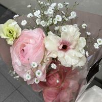 ラナンキュラス,ラナンキュラス　ラックス,ネコ好き,花束の画像