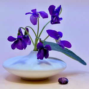 花瓶,花散歩,自己流アレンジ,小さいものクラブの画像