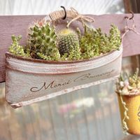 サボテン,セダム,寄せ植え,ともちゃんリメ鉢の画像