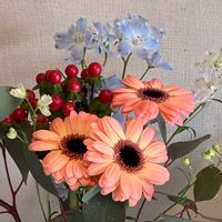 ガーベラ,ヒペリカム,ベロニカ,ウンリュウヤナギ,ディルフィニウムの画像