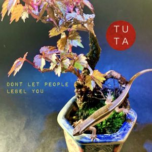 山桜,ヤマザクラ,ツタ(蔦),盆栽,小品盆栽の画像