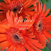 フラワーアレンジメント,多年草,キク科,花のある暮らし,緑のある暮らしの画像