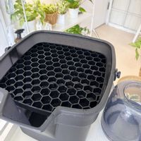 観葉植物,癒し,グリーンのある暮らし,水やり,室内管理の画像